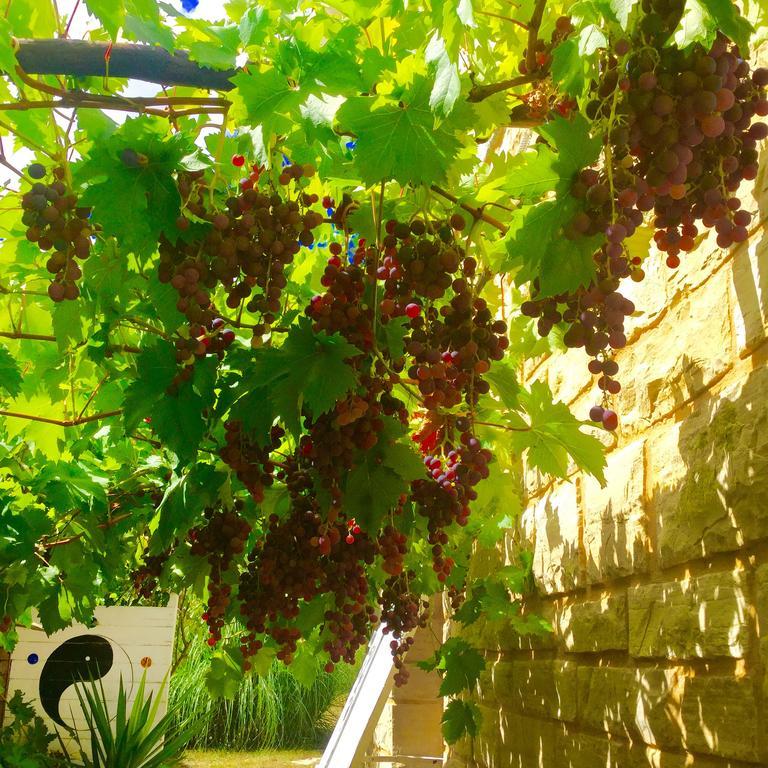 Le Balcon Des Jasses Bed & Breakfast Espere Ngoại thất bức ảnh